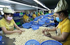 За счет использования рыночных возможностей экспорт Вьетнама за 8 месяцев превысил 250 млрд. долл. США