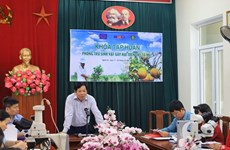 ЕС поддерживает Вьетнам в повышении безопасности экспортной сельскохозяйственной продукции