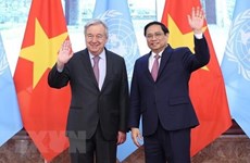 Вьетнам подтверждает свою роль надежного партнера международного сообщества