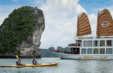 Цифровые СМИ положительно влияют на восстановление туризма во Вьетнаме