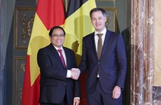 Вьетнамско-бельгийские традиционные дружественные отношения постоянно укрепляются и развиваются