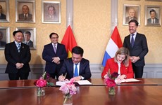50-летие установления дипломатических отношений между Вьетнамом и Нидерландами: пример «динамичных и эффективных отношений"