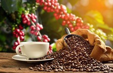 Повышать ценность вьетнамского кофе