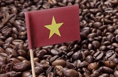 Буонматхуот будет развивается как «Всемирный кофейный город»