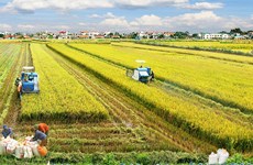 Сельское хозяйство - прочная опора экономики