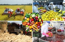 EVFTA -  Возможности прорваться на европейский рынок для вьетнамскойсельскохозяйственной продукции