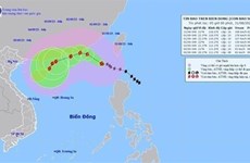 Тайфун Саола вызвал сильный ветер на море