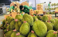 Экспорт фруктов и овощей в Китай растет