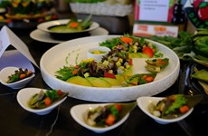 Провинция Ламдонг: Установить рекорд 100 блюд из далатских артишоков