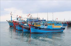 Преодоление «желтой карточки» ННН: Провинция Ниньтхуан развивает устойчивое и ответственное рыболовство