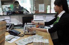 Несмотря на сильные колебания обменного курса валют стоимость вьетнамского донга будет расти