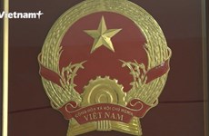 Выставка эскизов национального герба Вьетнама: нерассказанные истории об одном символе