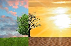 Повысить эффективность управления изменением климата и защитить озоновый слой