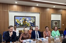 Австралийские эксперты помогают Вьетнаму повысить потенциал системы здравоохранения