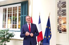 Правительство Франции будет сопутствовать развитию Вьетнама