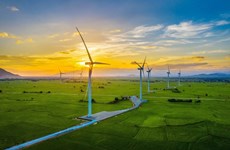 Зеленая энергия: решения для устойчивого развития будущего
