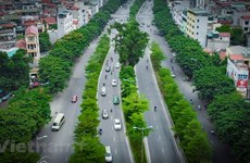 Министр строительства: у Вьетнама еще есть много возможностей для развития зеленых городских территорий