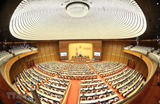 Национальное Собрание Вьетнама 14-го созыва за восьмую сессию приняло 11 законов и кодексов