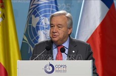 Генсек ООН разочарован итогами конференции COP25 в Мадриде