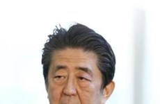 Абэ заявил, что Япония нацелена на подписание мирного договора с Россией