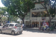 Устранение ситуации с импортными товарами, замаскированными под вьетнамские товары