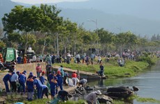 Более 2000 человек приняли участие в очистке берега моря в Дананге
