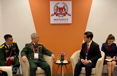 Вьетнам и Сингапур провели консультации о военно-оборонительных мероприятиях АСЕАН
