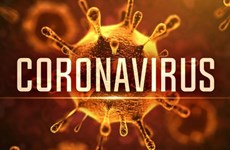 ВОЗ дала официальное название новому коронавирусу