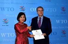 Вьетнам заверил в продолжении активного и тесного сотрудничества с ВТО