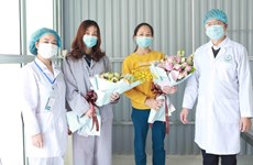 Во Вьетнаме вылечено 14 из 16 пациентов, заболевших COVID-19
