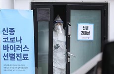 Число случаев заражения коронавирусом в Южной Корее достигло 51