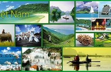 Усилия по продвижению вьетнамских туристических продуктов и услуг на рынках России и Индии 