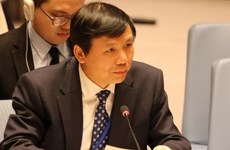 Вьетнам подтверждает поддержку договора о нераспространении ядерного оружия