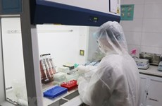 Вьетнам успешно производит тест-системы на SARS-CoV-2