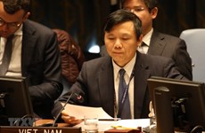 Вьетнам призвал Совбез ООН пересмотреть механизм санкций против  Южного Судана