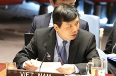 Вьетнам поддерживает решение проблемы терроризма в Африке