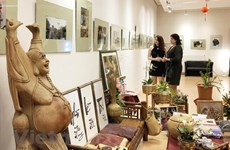 На выставке в Венгрии продемонстрированы фотографии из Вьетнама