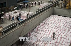 Вьетнам всегда уделяет внимание продовольственной безопасности наряду с экспортом риса