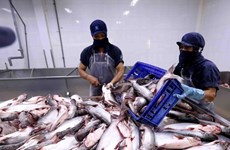 Экспорт морепродуктов в Китай демонстрирует признаки восстановления