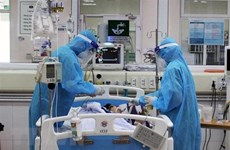 Подготовка вариантов для трансплантации легких для пациента №91