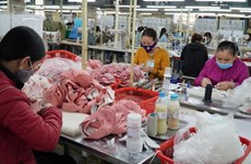 Вьетнамские и американские обувные компании обсуждают торговлю в условиях пандемии