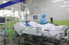 Во Вьетнаме отсутствует новые случаи COVID-19, пациент № 91 отключен от ИВЛ