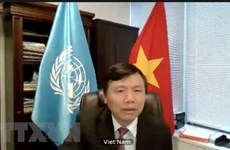 Вьетнам приветствует расследование террористических преступлений ЮНИТАД