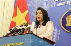 Представитель МИД: Вьетнам возражает против военных учений Китая в районе Хоангша 