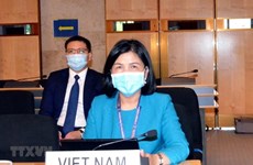 Посол: Вьетнам отдает приоритет защите прав детей 