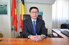 Бельгийские фирмы в курсе деловых возможностей во Вьетнаме