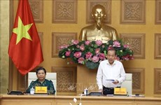 Обсуждена подготовка ко второму общенациональному съезду вьетнама этнических меньшинств