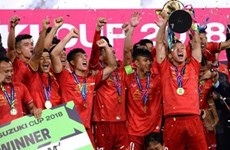 Кубок AFF будет отложен до апреля 2021 года