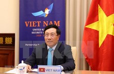 Вьетнам призывает к отмене санкций и гуманитарной помощи в условиях пандемии