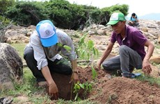 Ниньтхуан продвигает меры по расширению лесного покрова